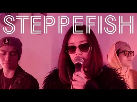 Steppefish - Тёплый Пол фото